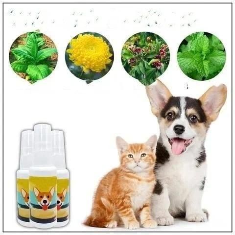 Natural Potty Training Spary for Dog & Cat (Buy 1 Get 1 ) 30ml each