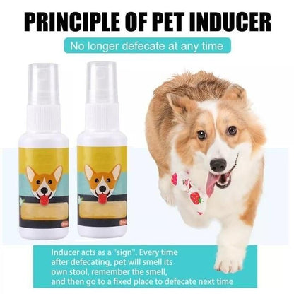 Natural Potty Training Spary for Dog & Cat (Buy 1 Get 1 ) 30ml each